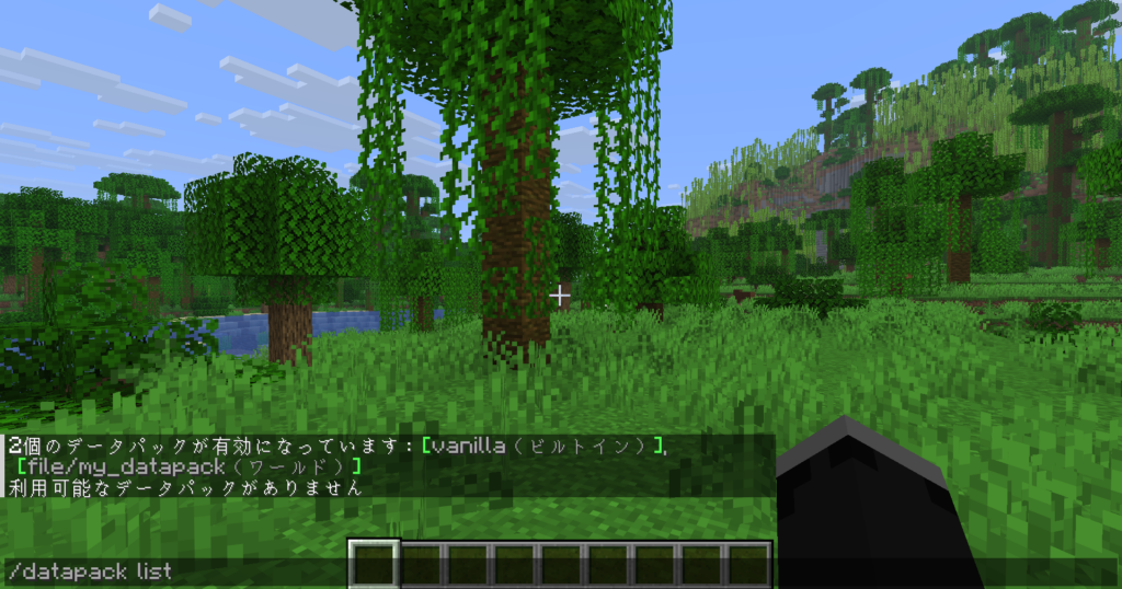 datapack listで有効になっているか確認している画像