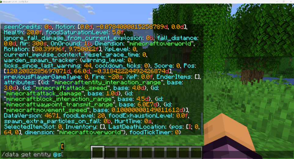 パスなしで実行したときのNBT全体出力と、Health だけを絞り込んだ出力の対比GIF