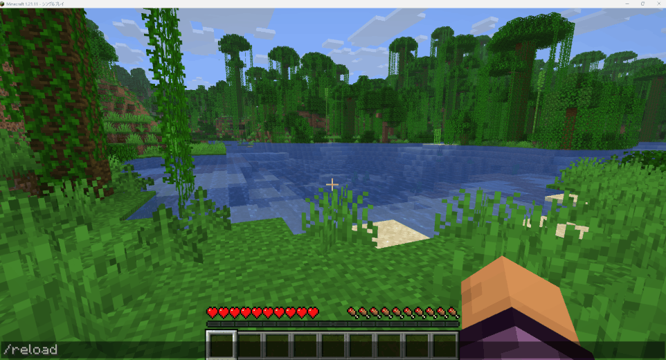 /reloadコマンドを実行